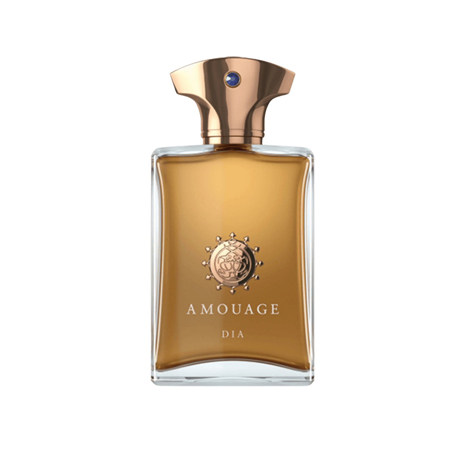 AMOUAGE DIA EDP FOR MEN - NOFP STUDIOS
