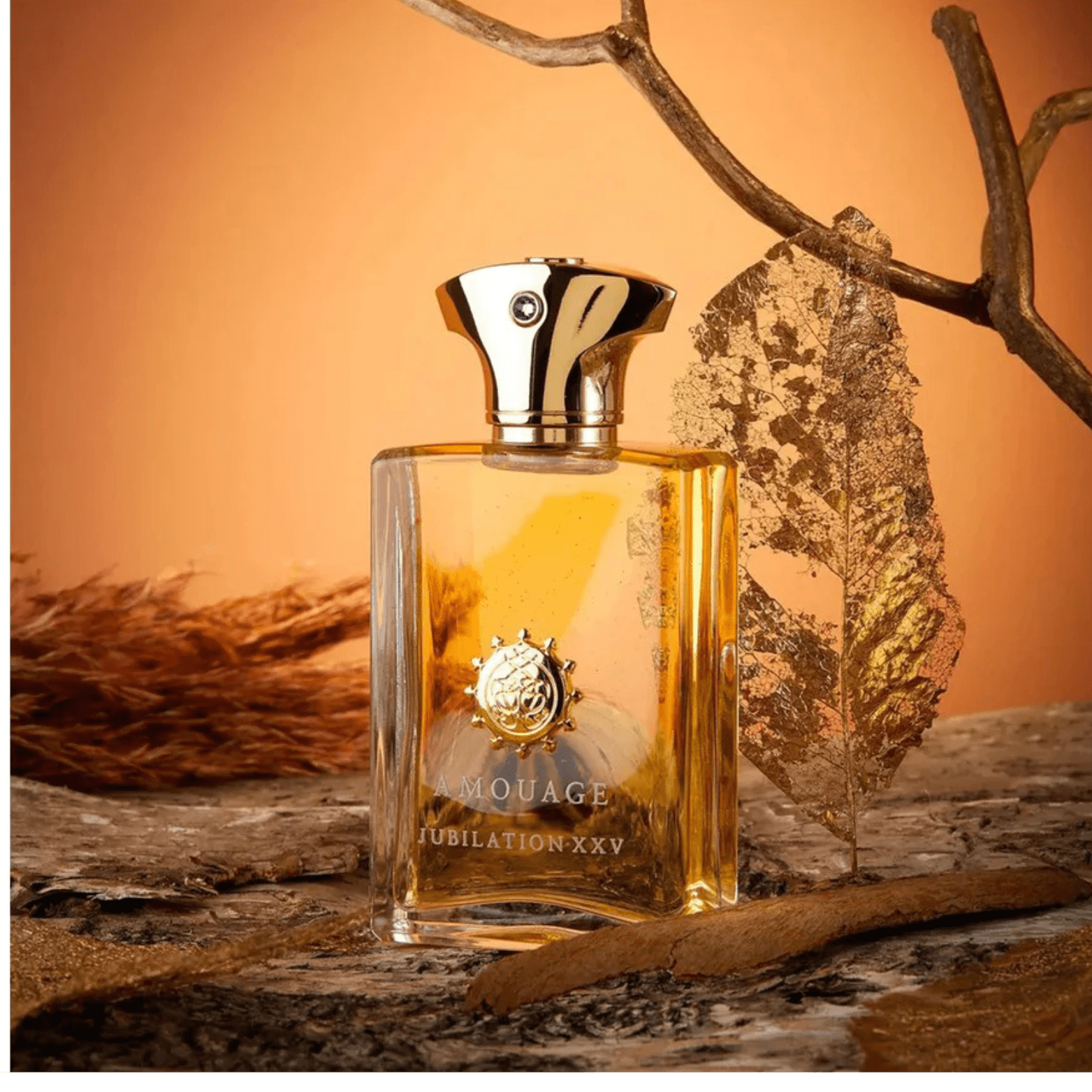 AMOUAGE JUBILATION XXV EDP FOR MEN - NOFP STUDIOS