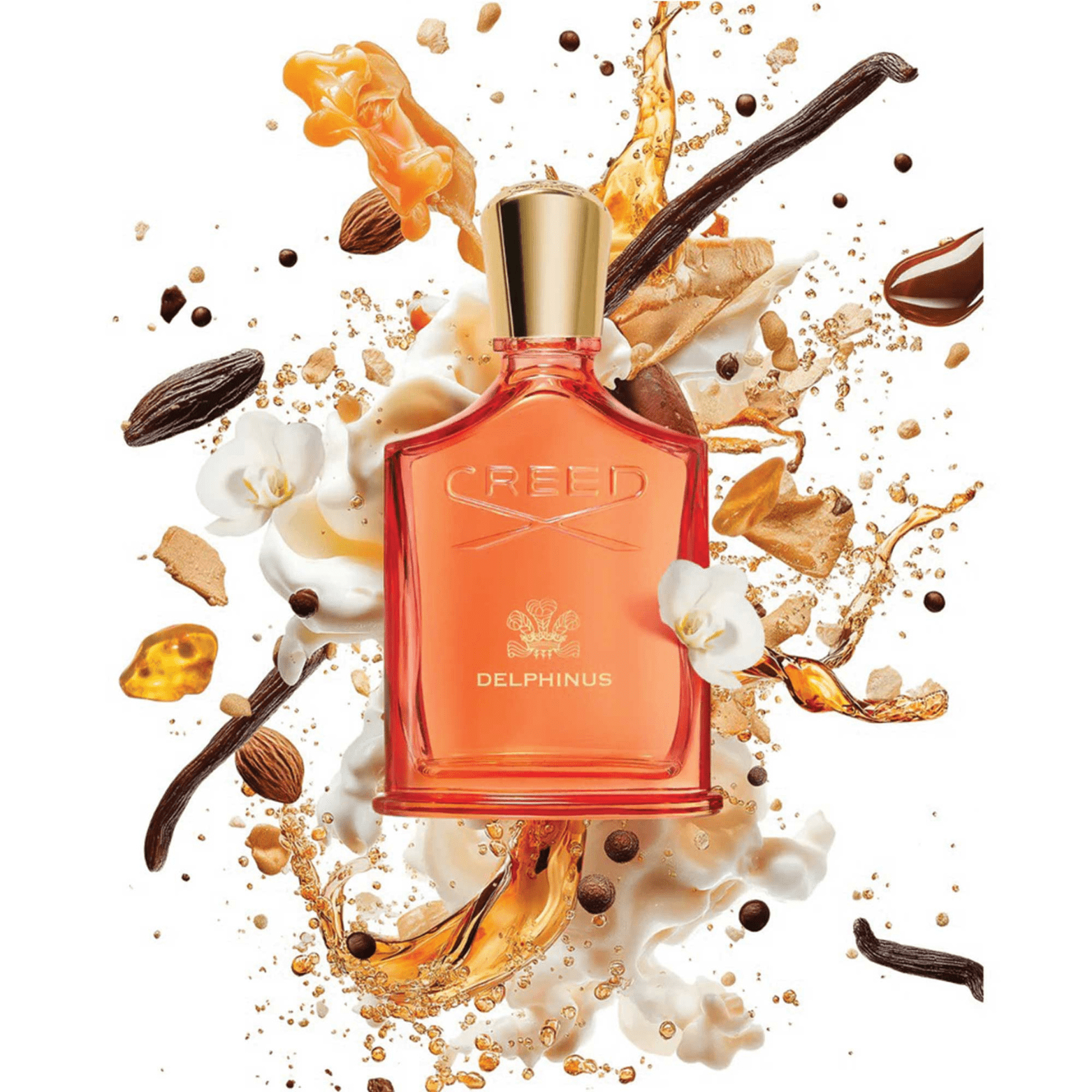 CREED DELPHINUS EDP FOR UNISEX 100ML - NOFP STUDIOS