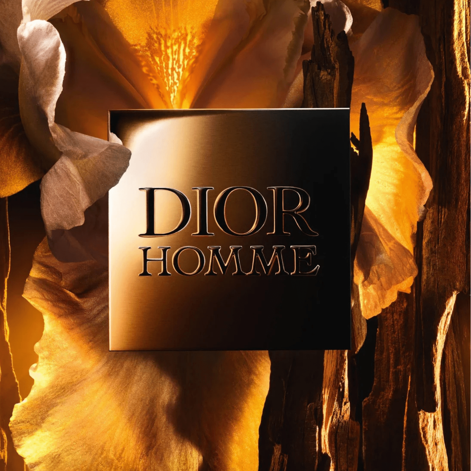 DIOR HOMME PARFUM FOR MEN 100ML - NOFP STUDIOS